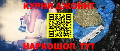 гидропоника Гусев