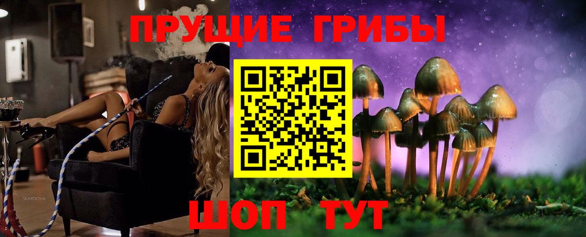 Галлюциногенные грибы Psilocybe Минеральные Воды